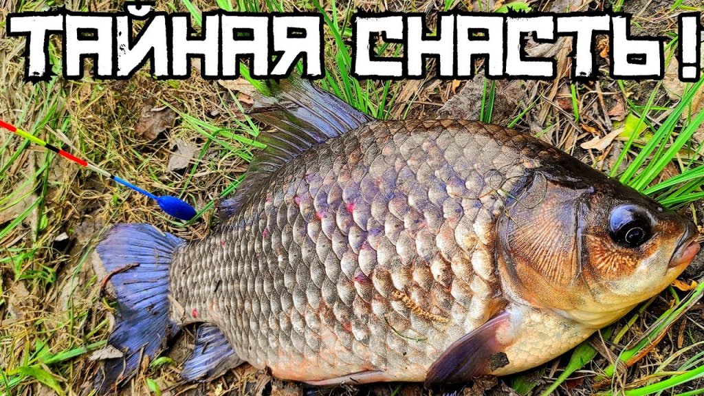 Давно забытая дедовская донка ловит всё! Рыбачу в НСО на р. Каргат! Давно забытая дедовская донка ловит всё! Рыбачу в НСО на р. Каргат!