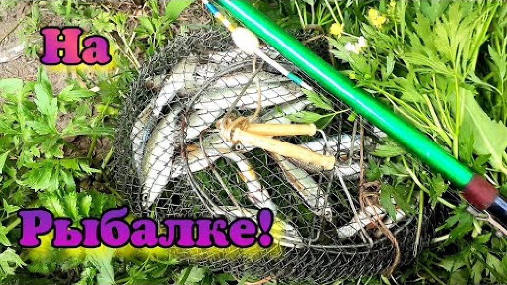/Рыбалка на Ине/Ловим Чебака/Пение соловья/ /Рыбалка на Ине/Ловим Чебака/Пение соловья/