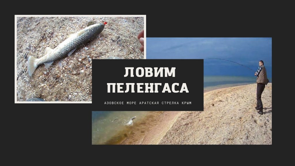 Ловим Пеленгаса Рыбалка в Крыму Рыбалка на Азовском море