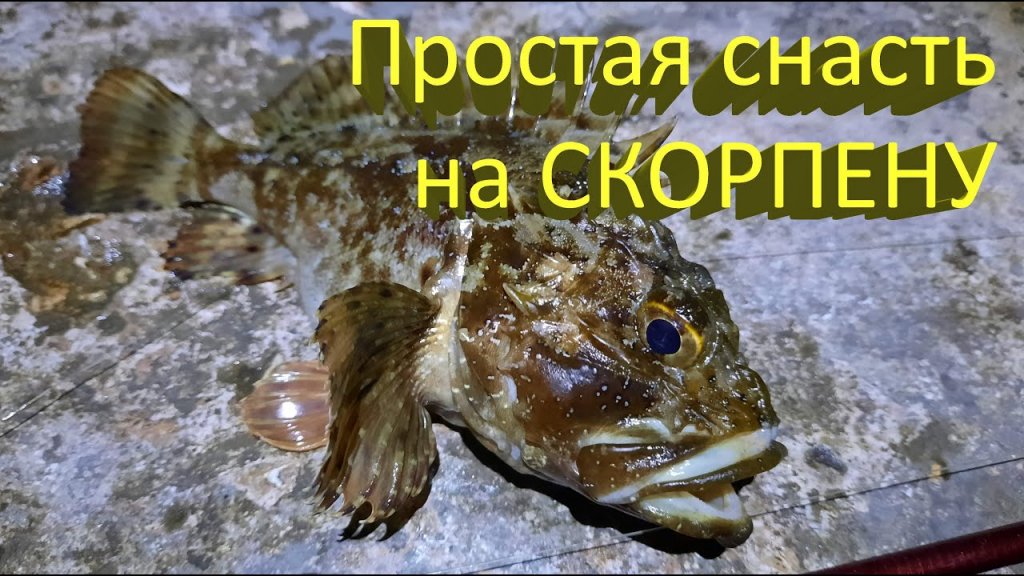 Простая снасть для ловли морского ерша скорпены. Ночная рыбалка в Крыму.