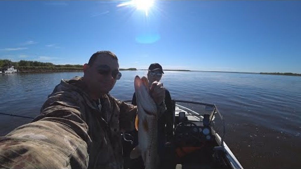 Рыбалка на северную щуку / fishing for northern pike