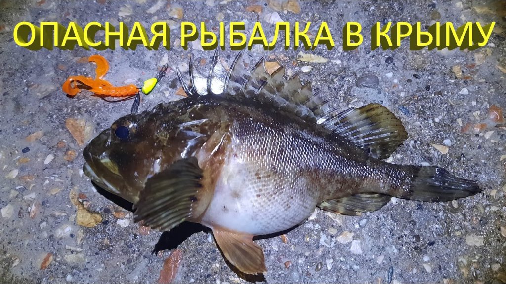 Опасная рыбалка на Черном море. Меры предосторожности при ловле морского ерша скорпены на спиннинг.
