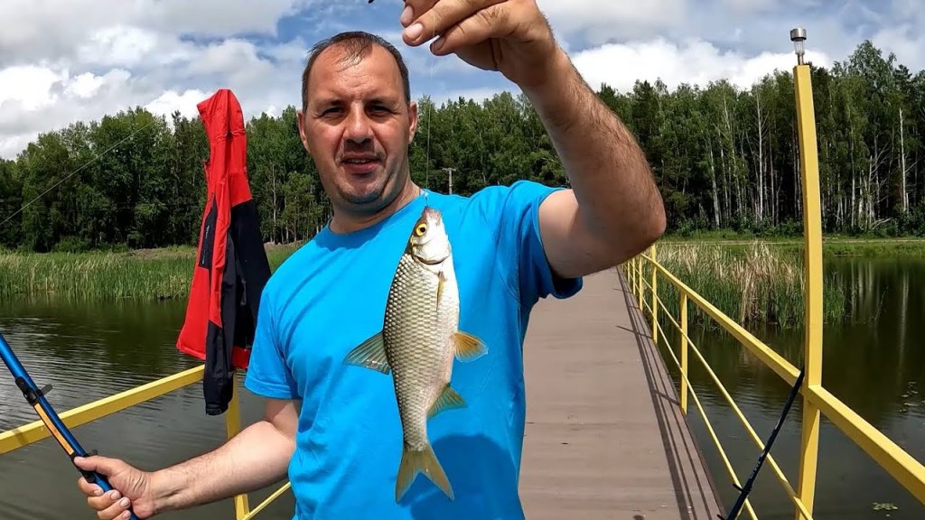 Ловля ВРЕДНОЙ ПЛОТВЫ на МАННУЮ БОЛТУШКУ!!! Рыбалка на базе "Усть-Алеус". Неугомонный рыбак отдыхает!