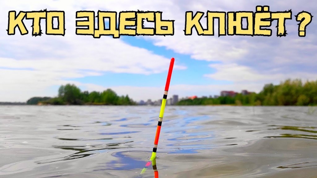 Рыбалка в черте города Новосибирска на Оби! Кто клюёт в заливе? Рыбалка в черте города Новосибирска на Оби! Кто клюёт в заливе?