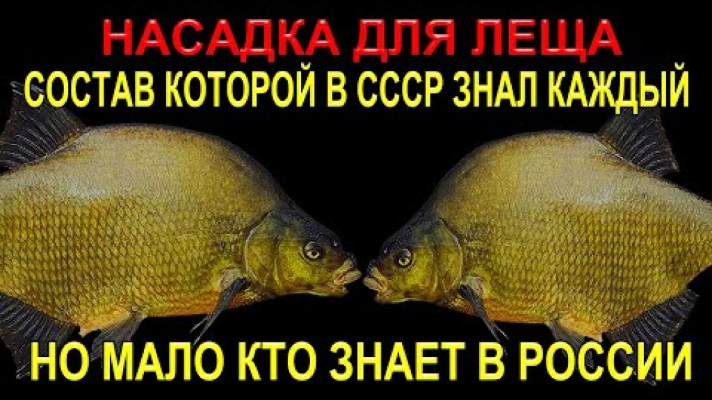 Насадка для леща, состав которой в СССР знал почти каждый рыбак! Но мало кто знает в России!