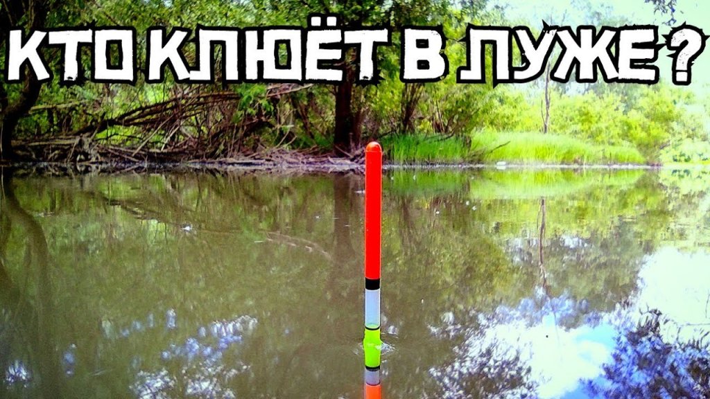 Лесная лужа удивила по настоящему! Рыбалка Новосибирск 2022.