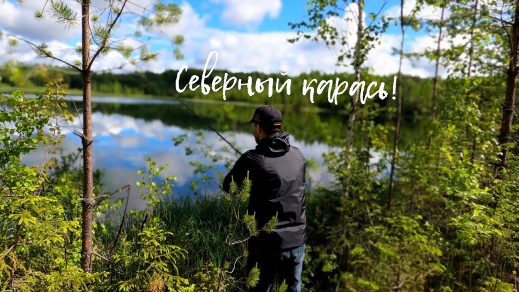 Северный КАРАСЬ / Летняя рыбалка на поплавок / Рыбалка на озере