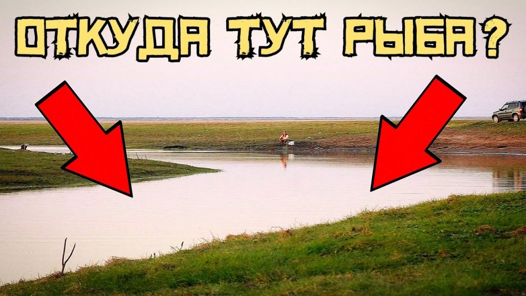 Ловля карася в малой реке НСО. Рыбалка на полудонку. Ловля карася в малой реке НСО. Рыбалка на полудонку.