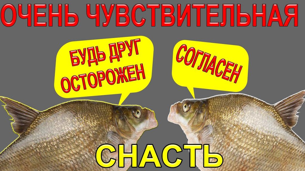 Сверхчувствительная снасть на леща и другую придонную, мирную рыбу, универсальный, #донный_монтаж