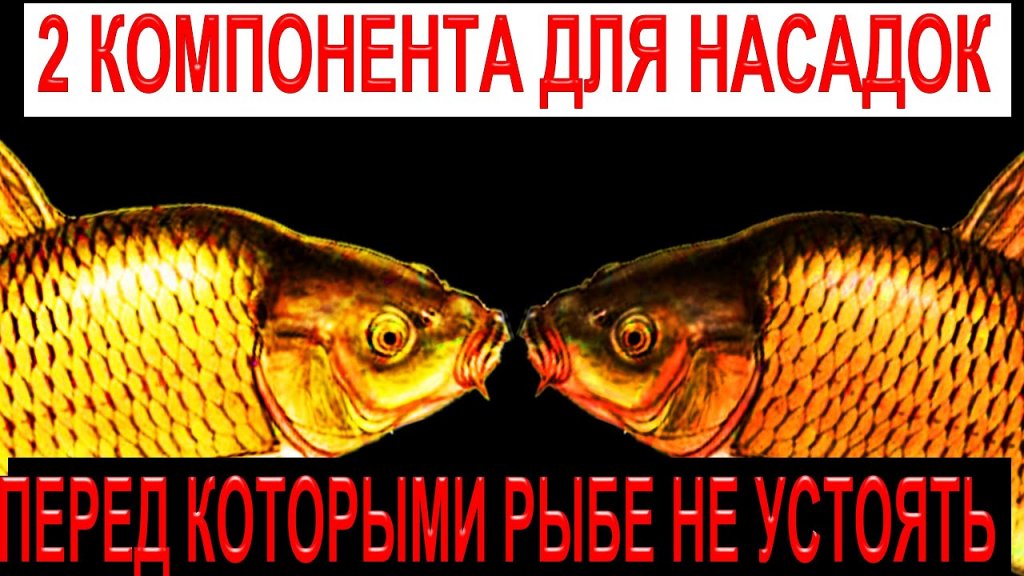 2 компонента для насадок, перед которыми рыбе не устоять, вся рыба не в силах устоять перед ними!!