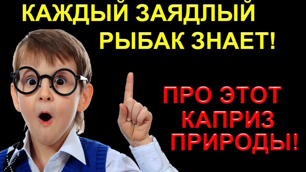Рыба не клюёт и опытный рыбак про этот фактор знает! Посмотрев это видео и вы узнаете почему!! Рыба не клюёт и опытный рыбак про этот фактор знает! Посмотрев это видео и вы узнаете почему!!