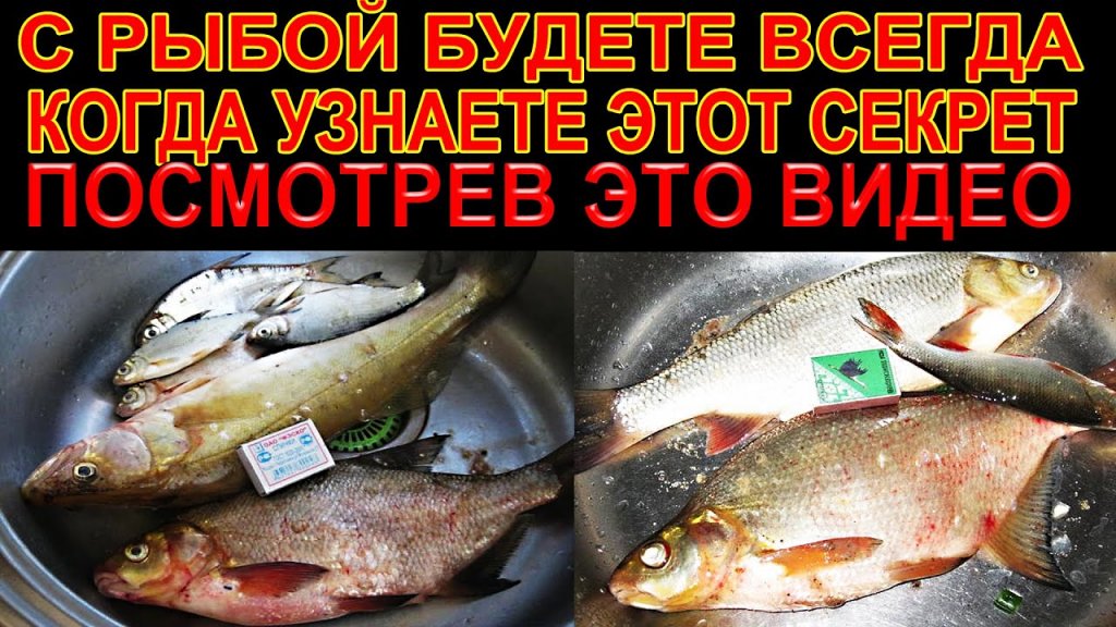 Вы удивитесь когда увидите состав этой рабочей, отличной насадки. Вы удивитесь когда увидите состав этой рабочей, отличной насадки.