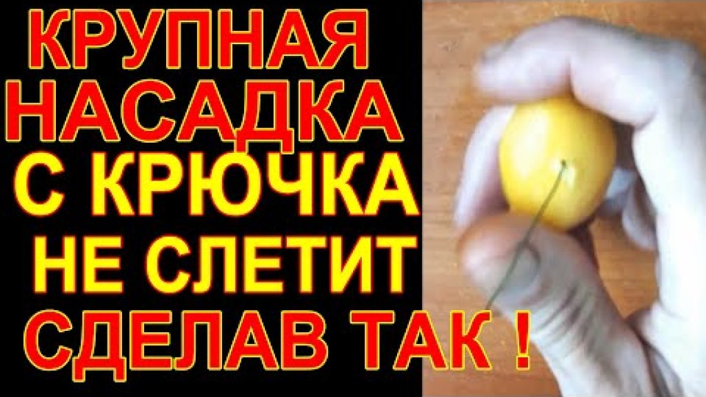 Крупная насадка, на крупную рыбу для ловли на фидер, как надеть что бы не слетела при ударе об воду Крупная насадка, на крупную рыбу для ловли на фидер, как надеть что бы не слетела при ударе об воду