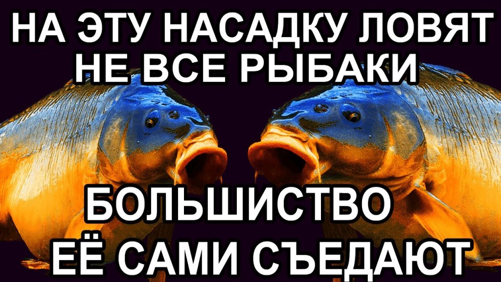 Это  кушал каждый в рыбак в россии, но ловили на эту насадку на рыбалке единицы