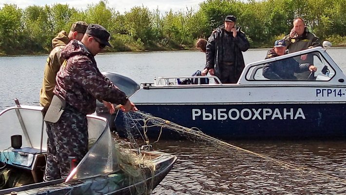 Водоёмы Сибири под охраной Рыбнадзора. 4 уголовных дела на браков только за август