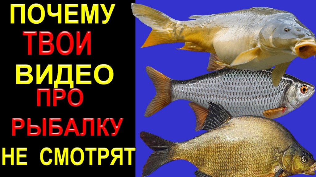 Посмотрев этот видос ты узнаешь!!почему видосы про рыбалку плохо растут в просмотрах на каналах Посмотрев этот видос ты узнаешь!!почему видосы про рыбалку плохо растут в просмотрах на каналах