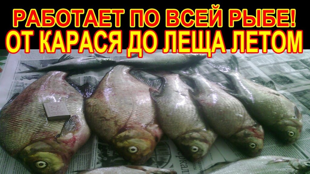 Элексир клёва! Работает по всей рыбе летом от карася до леща Элексир клёва! Работает по всей рыбе летом от карася до леща
