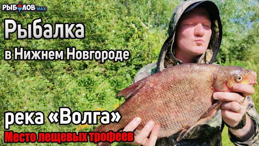 Трофейный лещ рвет леску. Рыбалка в Нижегородской области 2022. Фидерная рыбалка на леща