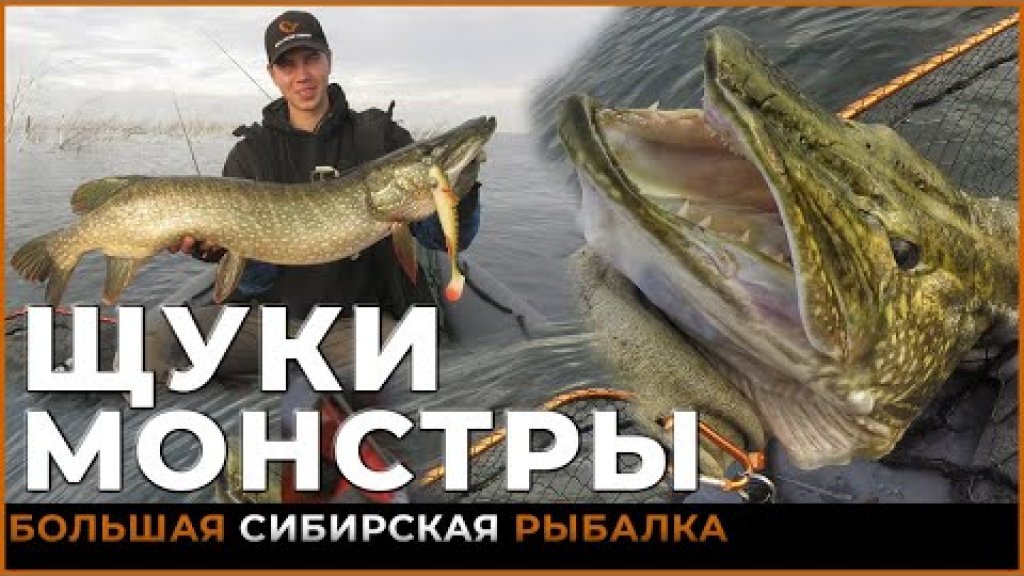 Трофейная сибирская щука. Хотел бы я там половить ))) Трофейная сибирская щука. Хотел бы я там половить )))
