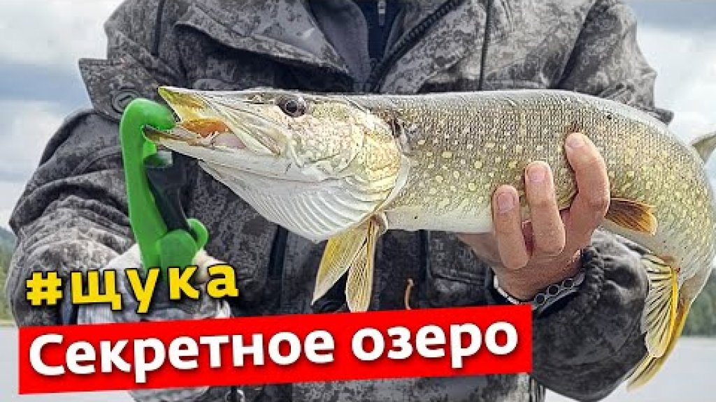 Щуки одна за одной | ЗАРЫБИЛ И ЛОВЛЮ Щуки одна за одной | ЗАРЫБИЛ И ЛОВЛЮ