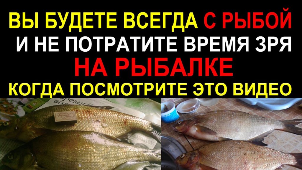 Посмотри это видео и Ты узнаешь, для чего нужны аттрактанты, элексиры, ароматизаторы на рыбалки Посмотри это видео и Ты узнаешь, для чего нужны аттрактанты, элексиры, ароматизаторы на рыбалки