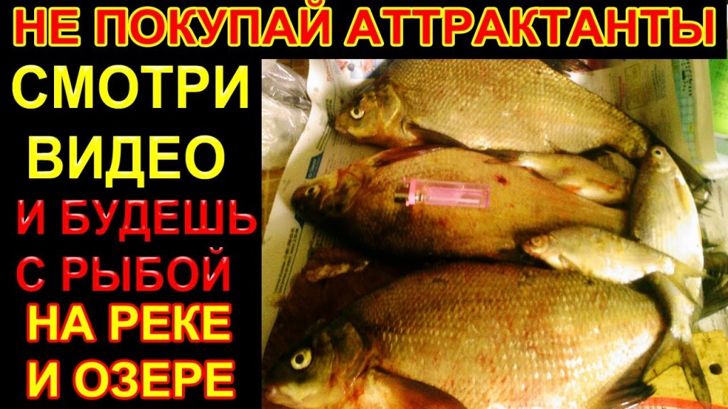 Это средство в 10 раз лучше любого аттрактанта для рыбалки, работает по всей рыбе летом Это средство в 10 раз лучше любого аттрактанта для рыбалки, работает по всей рыбе летом