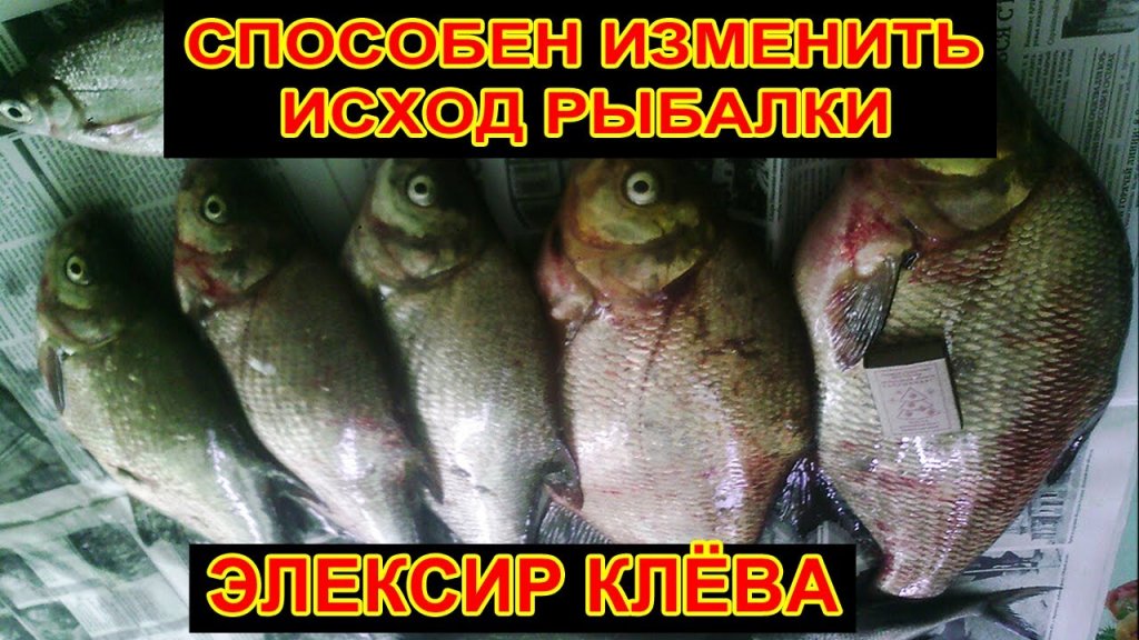 Мощный элексир клёва способный изменить исход любой рыбалки Мощный элексир клёва способный изменить исход любой рыбалки
