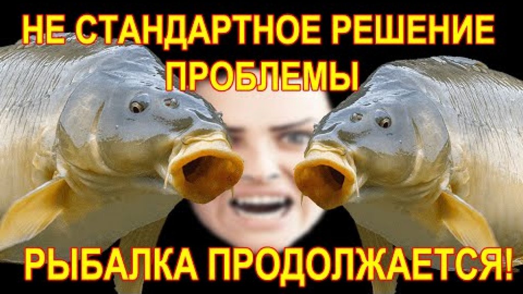 Каша прикормка стала не пригодна для продолжения рыбалки! Решение проблемы! Каша прикормка стала не пригодна для продолжения рыбалки! Решение проблемы!