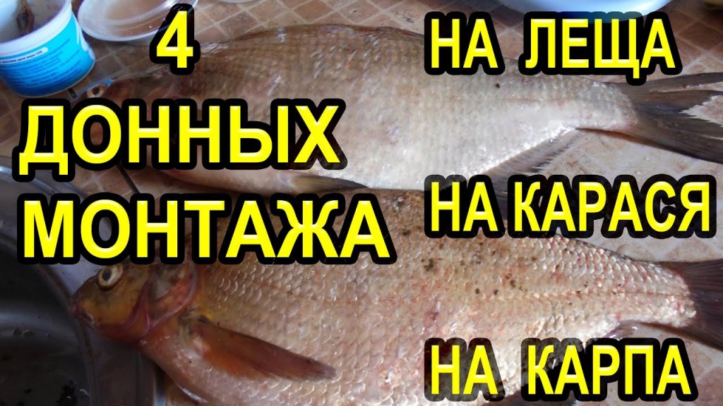 4 донных монтажа для ловли леща, карпа, карася для рыбалки на фидер 4 донных монтажа для ловли леща, карпа, карася для рыбалки на фидер