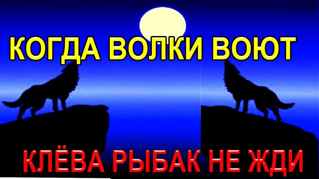 Луна и клёв рыбы, при какой луне отличный клёв это должен знать каждый рыбак!