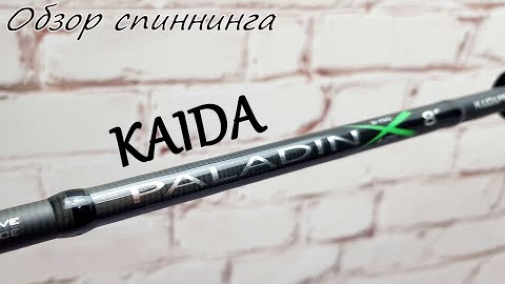 Бюджетный спиннинг на ЩУКУ - Kaida PALADIN 240