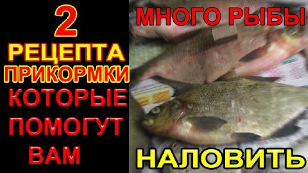 Вы можете превысить норму вылова на рыбалке используя такие прикормки в фидерной ловле Вы можете превысить норму вылова на рыбалке используя такие прикормки в фидерной ловле