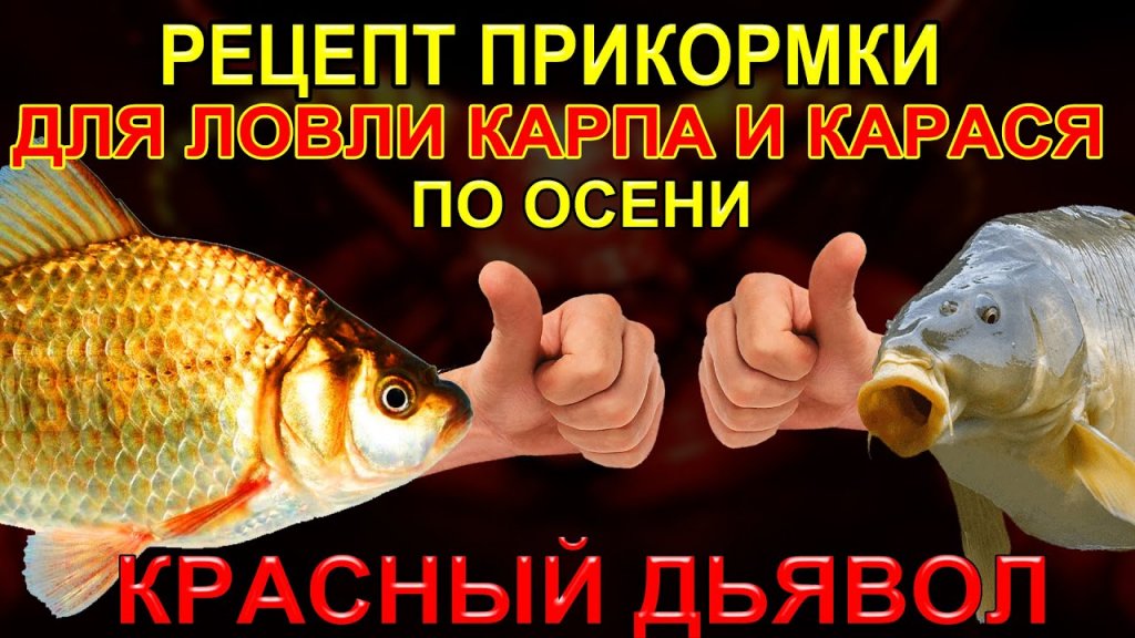 Осенняя прикормка, для ловли карася, для ловли карпа, на фидер, рецепт КРАСНЫЙ ДЬЯВОЛ Осенняя прикормка, для ловли карася, для ловли карпа, на фидер, рецепт КРАСНЫЙ ДЬЯВОЛ