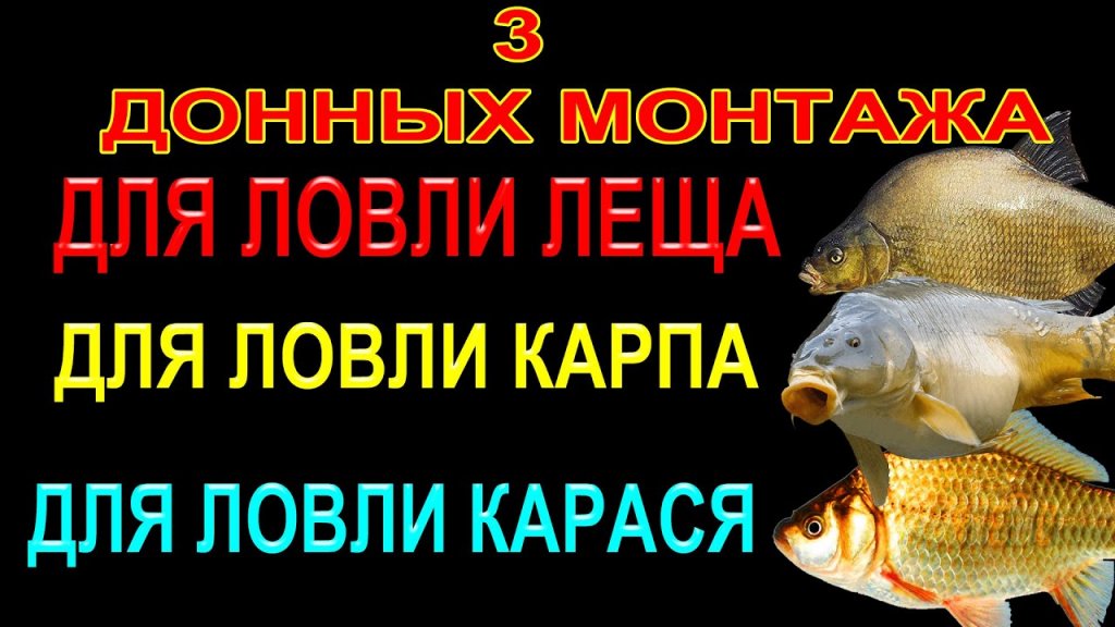 3 донных монтажа которые не оставят вас без рыбы 3 донных монтажа которые не оставят вас без рыбы