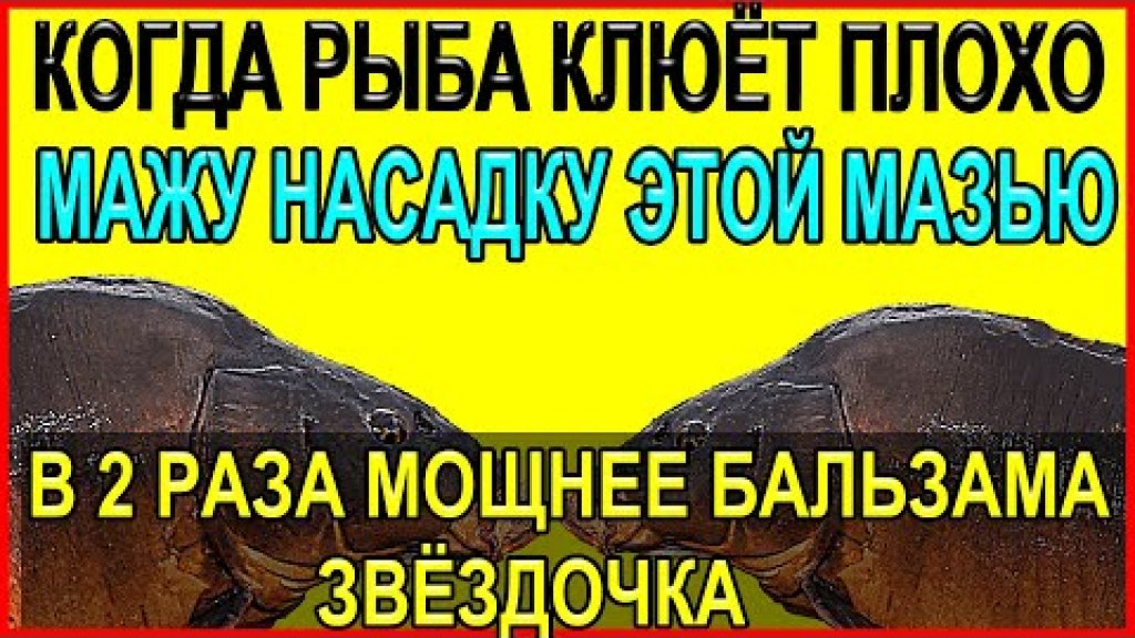 Вы мажете ею ноги и спину, а могли бы насадку и были бы с рыбой Вы мажете ею ноги и спину, а могли бы насадку и были бы с рыбой