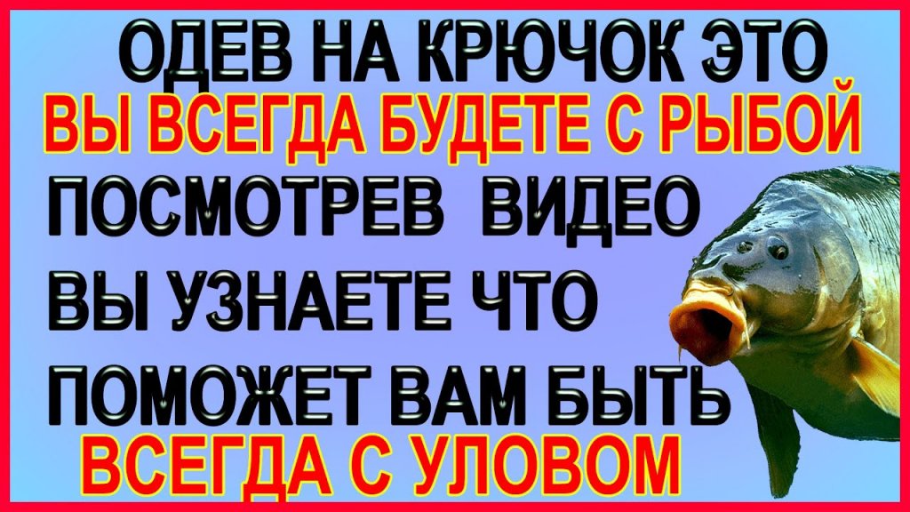 Всегда будете с каром и карасём одев это на крючок в донной ловле