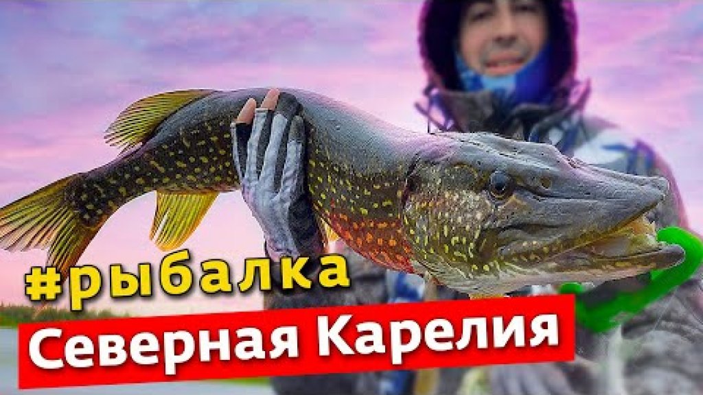 КАРЕЛИЯ. Северная рыбалка: Пяозеро, Кундозеро, Койгера