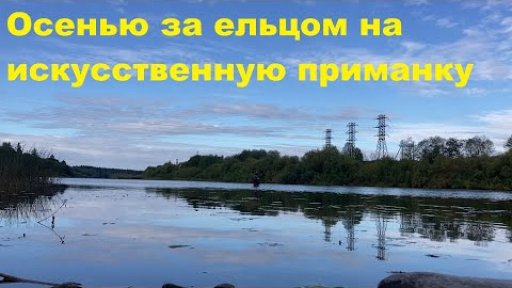 Осенью за ельцом на искусственную приманку Осенью за ельцом на искусственную приманку