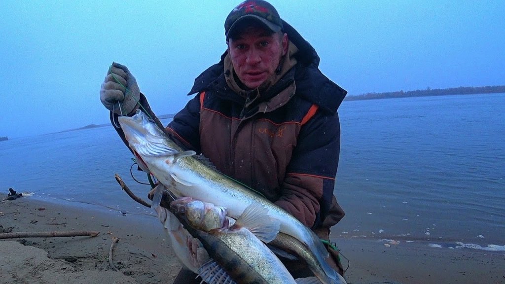 ОДИН больше ДРУГОГО! Ловля КРУПНОГО СУДАКА на РЕЗИНКИ в снег и ветер! Рыбалка 2022 ОДИН больше ДРУГОГО! Ловля КРУПНОГО СУДАКА на РЕЗИНКИ в снег и ветер! Рыбалка 2022