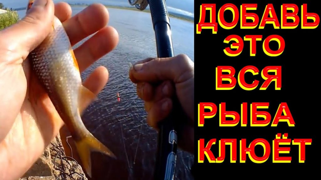 Добавь это к опарышу и вся рыба клюёт Добавь это к опарышу и вся рыба клюёт