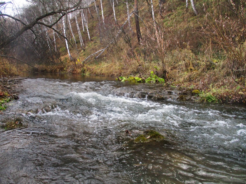 Дачники перестали воду сосать на полив - в Издревой воды прибавилось.