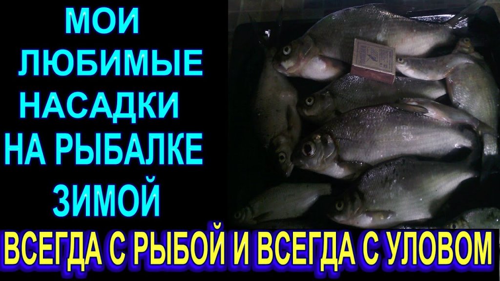 На рыбалке зимой ловлю только на эти насадки и всегда с рыбой На рыбалке зимой ловлю только на эти насадки и всегда с рыбой