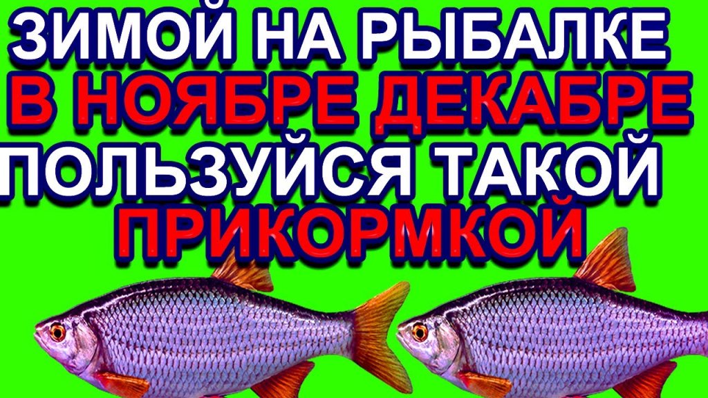 На рыбалке зимой ловлю в ноябре и декабре используя только на эту прикормку на слабом течении На рыбалке зимой ловлю в ноябре и декабре используя только на эту прикормку на слабом течении