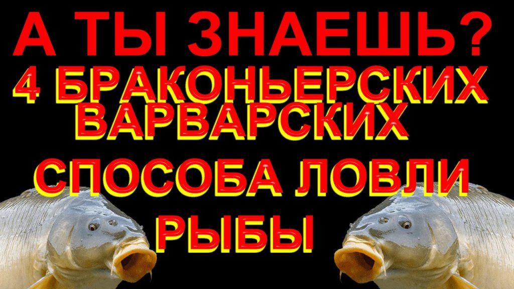 О Четырёх браконьерских, Варварских Способах Ловли Рыбы О Четырёх браконьерских, Варварских Способах Ловли Рыбы