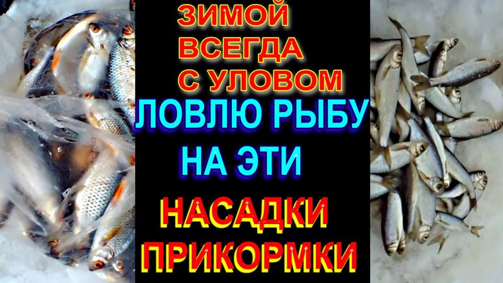 Всегда с Рыбой Зимой на Зимней Рыбалке, Ловлю Плотву, ельца пользуясь этим