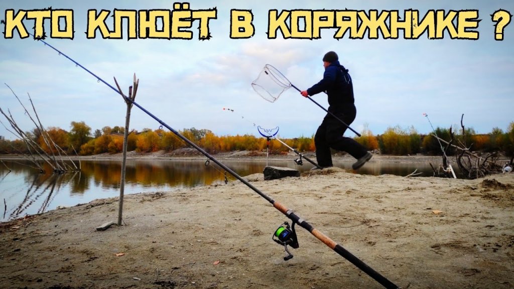 Это большая рыба!? Клюёт в городских корягах! Рыбалка в Новосибирске.