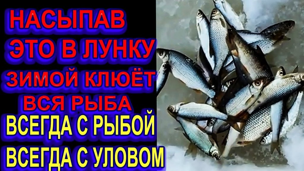 Сыпь это в Лунку на Рыбалке Зимой и Вся Рыба Клюёт, Плотва, Елец