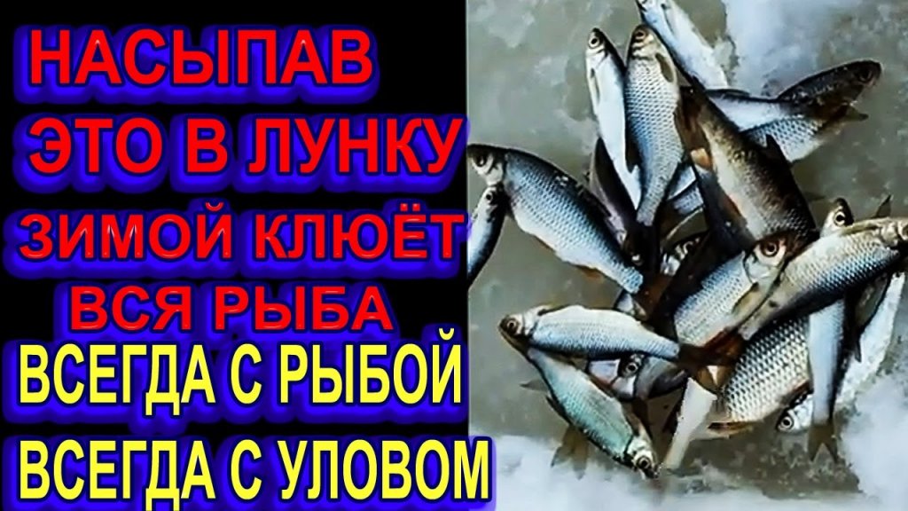 Сыпь это в Лунку на Рыбалке Зимой и Вся Рыба Клюёт, Плотва, Елец Сыпь это в Лунку на Рыбалке Зимой и Вся Рыба Клюёт, Плотва, Елец