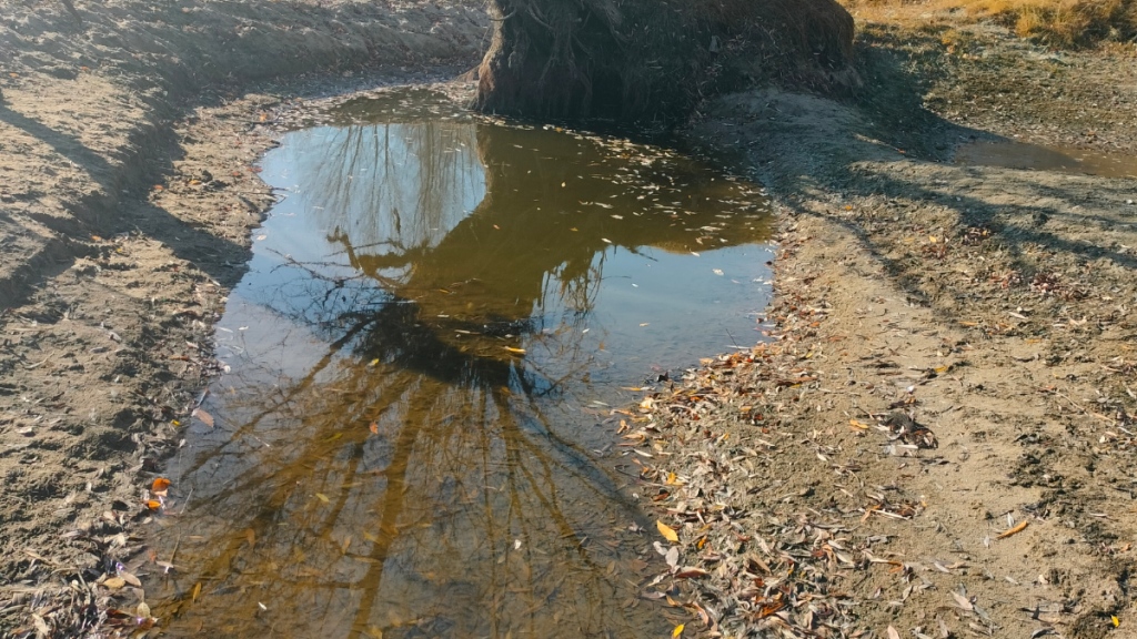 Для защитников природы и рыбы Для защитников природы и рыбы