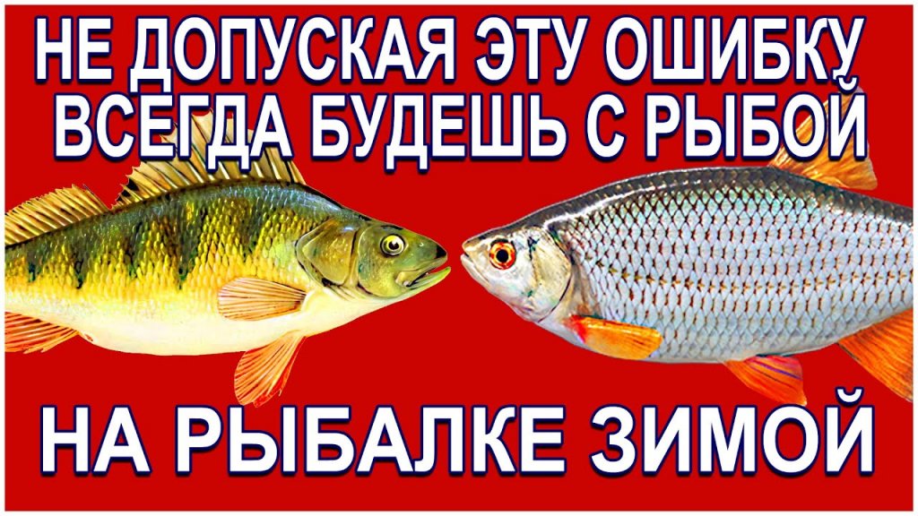 95% всех рыбаков допускают такую ошибку на рыбалке зимой